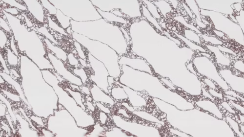 71d123_3081269e24834c919954783e56ddb00c~mv2