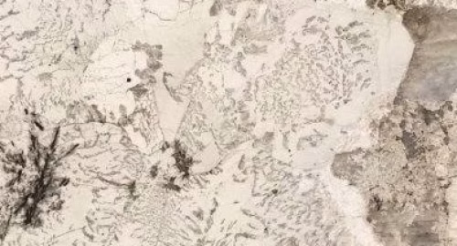 71d123_356bb51c02f7470994700e2fa32b2342~mv2